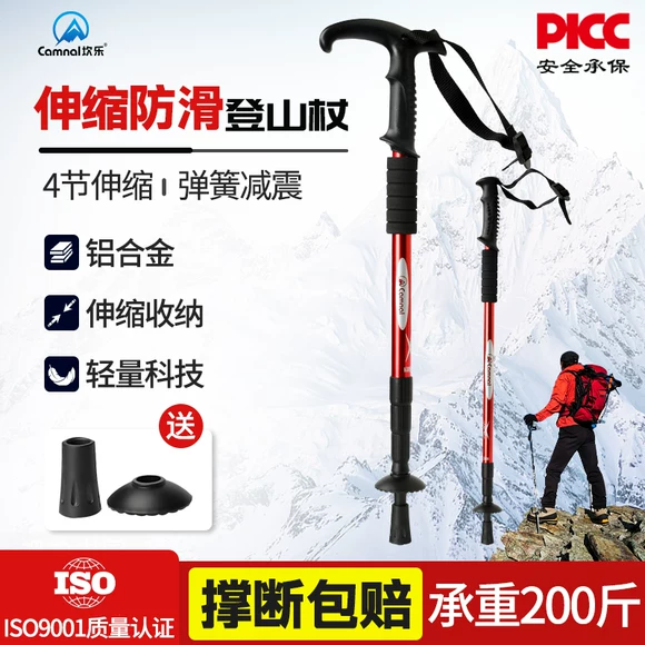 Trailblazer trekking cực carbon khóa siêu leo ​​núi mía đi bộ ngoài trời đi bộ gậy mía - Gậy / gậy gậy chống người già