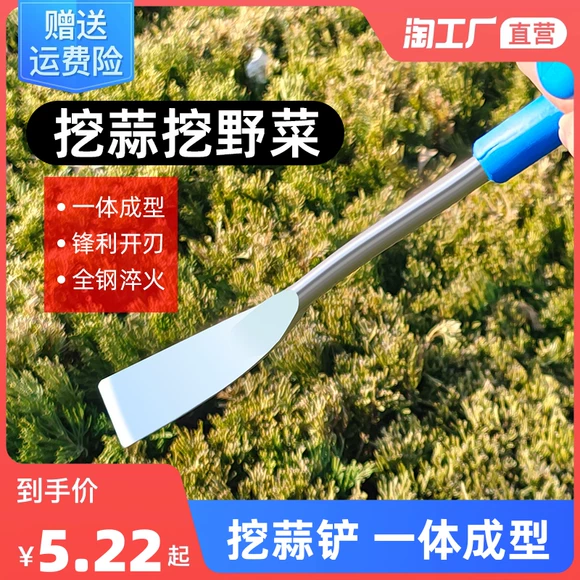 Cảnh vật trang trí cây cảnh Phụ kiện đá cá bể đá hấp thụ Trang trí hồ cá khách sạn làm vườn cung cấp sen - Nguồn cung cấp vườn bình tưới cây cảnh